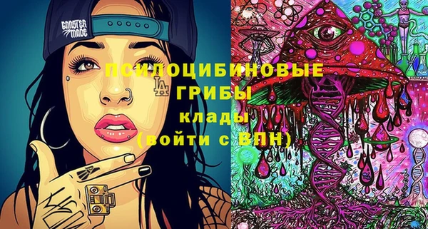 прущие крисы Горняк