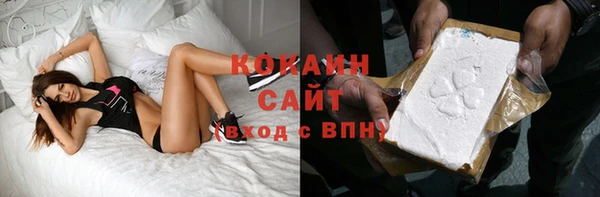 прущие крисы Горняк