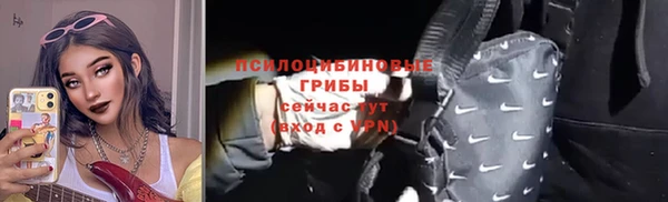 тгк Горно-Алтайск