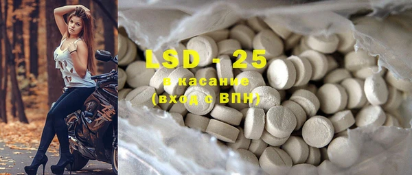 прущие крисы Горняк