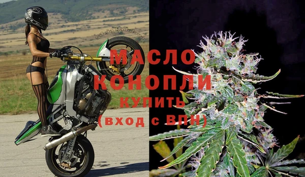 прущие крисы Горняк