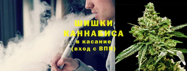 тгк Горно-Алтайск