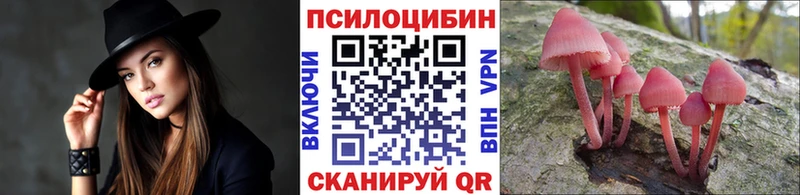 Псилоцибиновые грибы Psilocybe  Купить  Сосновый Бор 
